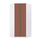 Guarda Roupa Modulado Canto Closet 2 Portas 7 Prateleiras 111