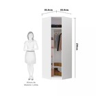 Guarda Roupa Modulado Canto Diagonal 1 Porta 83cm Com Vidro R