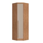 Guarda-roupa Modulado Casal 9 Portas 3 Gavetas Cedro/duna