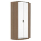 Guarda Roupa Modulado Closet 2 Portas Alumínio Espelho Canto