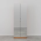 Guarda-roupa Modulado Com Espelho 2 Portas Com Cabideiro E 2