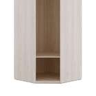 Guarda-roupa Modulado Com Espelho Elite I 1 Ptvanilla