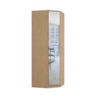 Guarda Roupa Modulado Elegance Canto 1 Porta E Espelho-carva