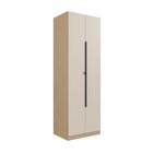 Guarda Roupa Modular 2 Portas 1 Gaveta 2 Prateleiras Nancy Ce
