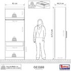 Guarda Roupa Modular 2 Portas 2 Gavetas Gênova Plus  Ipê Wood