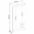 Guarda-roupa Nt6010 Com 4 Portas E 2 Gavetas Freijó Trend/off