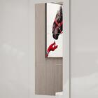 Guarda Roupa Roupeiro Dubai 3 Portas De Correr Com Espelho Ce