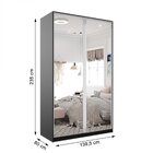 Guarda Roupa Solteiro 100% Mdf Bp Com 2 Portas Espelho Zermat