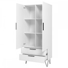 Guarda-roupa Solteiro 2 Portas 2 Gavetas Branco/metal Preto B