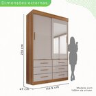 Guarda Roupa Solteiro 2 Portas Com Espelho 6 Gavetas Luana  C