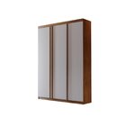 Guarda Roupa Solteiro 3 Portas 2 Gavetas Tepic Rufato Imbuia/