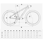 Guarda Roupa Solteiro 4 Portas 2 Gavetas Honduras - Móveis Le