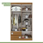 Guarda-roupa Solteiro 4 Portas 2 Gavetas Zeus Rovere Naturale