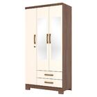 Guarda Roupa Solteiro Açaí 3 Portas E 2 Gavetas Com Espelho -