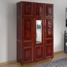 Guarda-roupa Solteiro Campo Grande 6 Portas Com Espelho Mel -