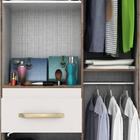 Guarda Roupa Solteiro Com Espelho 3 Portas Gabriela Acp Móvei