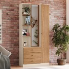 Guarda-roupa Solteiro Doha 2 Porta 3 Gavetas Com Espelho Off