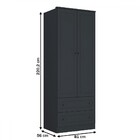 Guarda-roupa Solteiro Fort 2 Portas 2 Gavetas 100% Mdf Grafit