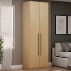 Guarda-roupa Solteiro Infinity 2 Portas 4 Prateleiras Savana