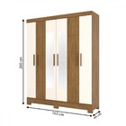 Guarda-roupa Solteiro Malbec 6 Portas 2 Gavetas Com Espelho N