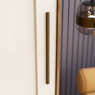 Guarda Roupas Casal 02 Portas Deslizantes 06 Gavetas Com Acab