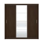 Guarda-roupas Casal 3 Portas De Correr 2 Gavetas E Espelho Mu