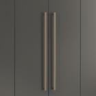 Guarda Roupas Casal 8 Portas Com Espelho Alan Jatobá Grafite