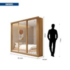 Guarda Roupas Casal Com Espelho 3 Portas 4 Gavetas Quito Espr