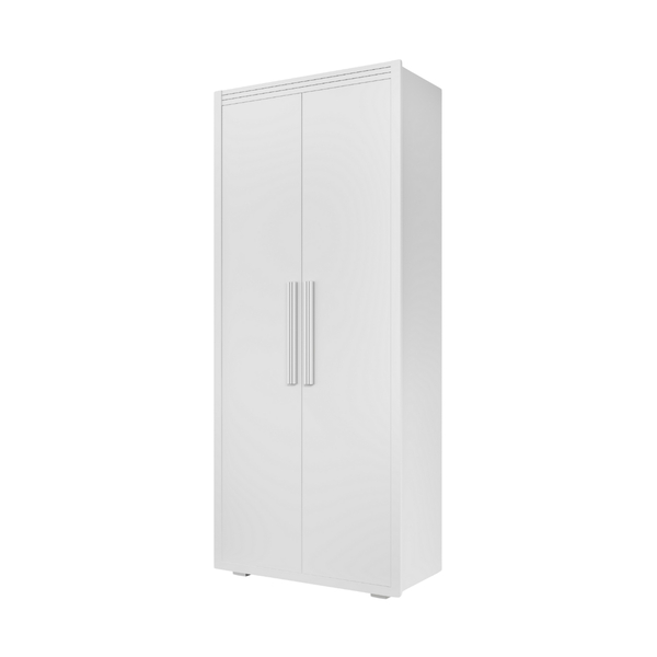 Guarda Roupas Mdf Armario Multiuso Duas Portas Dublin Fenix B