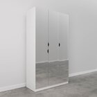 Guarda Roupas Modulado Com Espelho 3 Portas Com Cabideiro Her