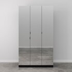 Guarda Roupas Modulado Com Espelho 3 Portas Com Cabideiro Her