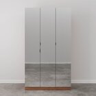 Guarda Roupas Modulado Com Espelho 3 Portas Com Cabideiro Her