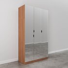 Guarda Roupas Modulado Com Espelho 3 Portas Com Cabideiro Her