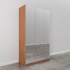 Guarda Roupas Modulado Com Espelho 3 Portas Com Cabideiro Her