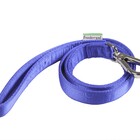 Guia Modernpet Azul - Tam. Pequena