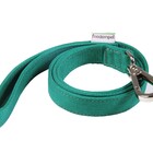 Guia Modernpet Verde - Tam. Pequena