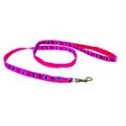 Guia Padrão Master Para Cão 15mm Color - Imbicouros