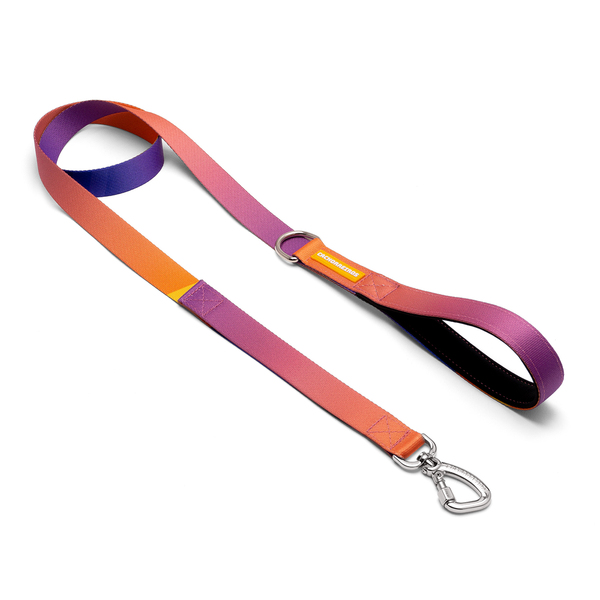 Guia para Cachorro G Poliéster Cachorreiros