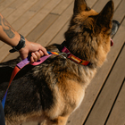 Guia para Cachorro G Poliéster Cachorreiros
