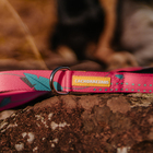 Guia para Cachorro G Poliéster Cachorreiros