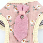 Guia Peitoral Gravata Pet Ajustável Tamanho (g) Acessórios Pa