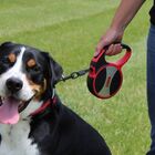 Guia Retrátil Kong Longa Explore G 7 5 Metros Cães Até 50 Kg