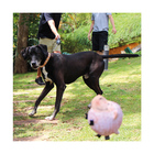 Guia Retrátil Smart Walk Sistema Abs Emborrachada Preto Mimo