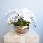 H.orquidea Phalaenopsis Real Toque C/coat X7 (branco) 63cm Vo