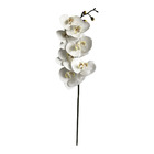 H.orquidea Phalaenopsis Real Toque C/coat X7 (branco) 63cm Vo
