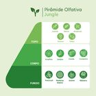 Haroma Spray Jungle 100ml