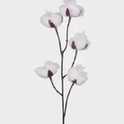 Haste Algodão Planta Artificial 1un Único