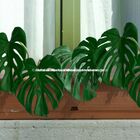 Haste De Costela De Adão Artificial 5 Unidades - Toque Realis