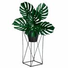 Haste De Costela De Adão Artificial 5 Unidades - Toque Realis