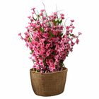 Haste De Flor De Cerejeira Rosa Artificial Com 7 Unidades Ide